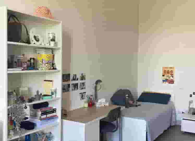 Thumbnail - Affitto camera doppia - zona Gavinana (FI)