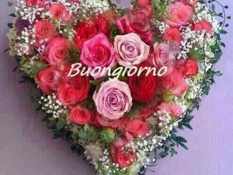 Immagine principale: Casa