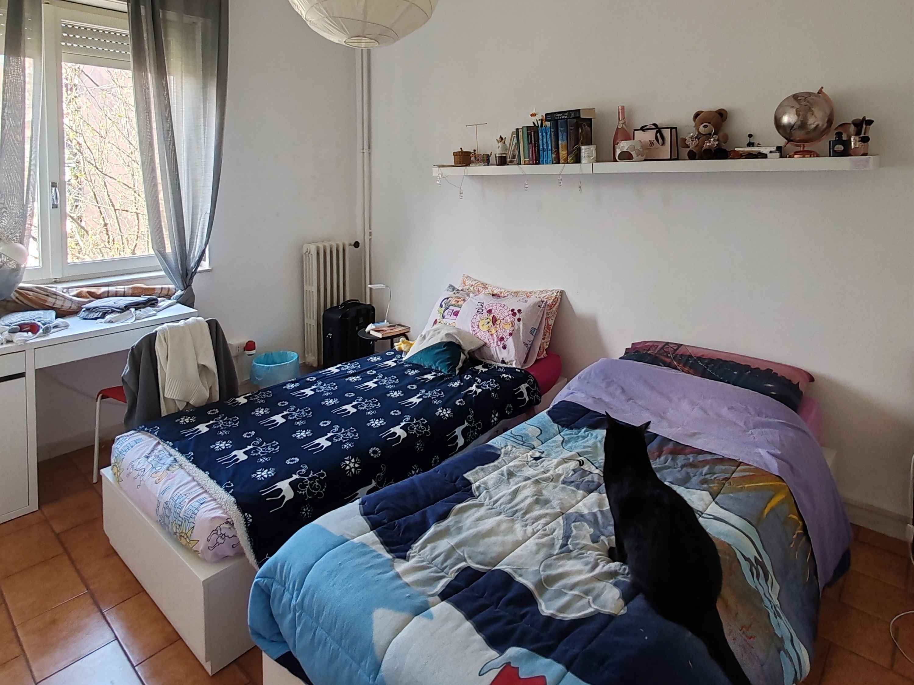 Immagine principale: Affitto posto letto in trilocale