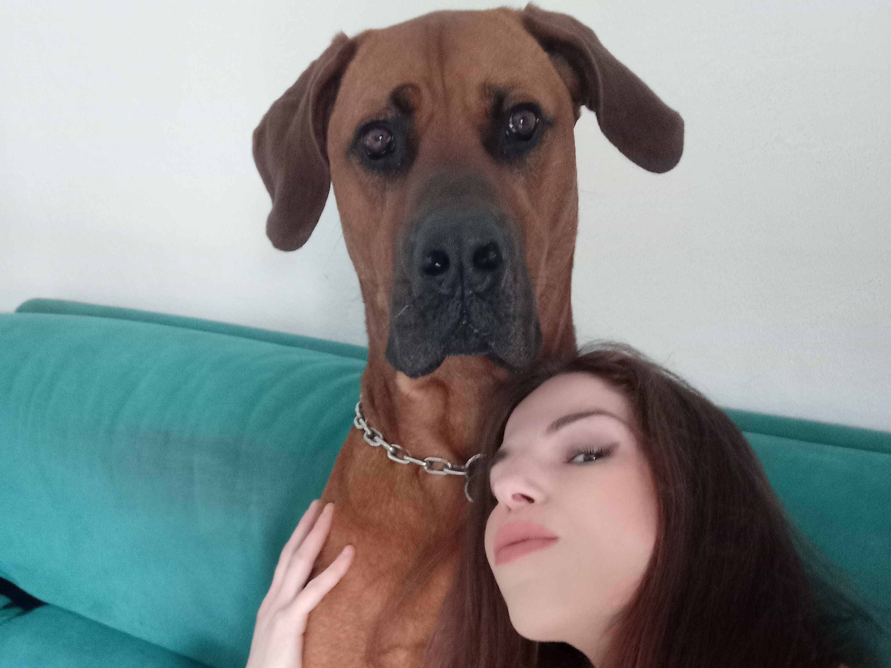 Thumbnail - Cerchiamo casa in affitto